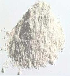 Diatomite Earth